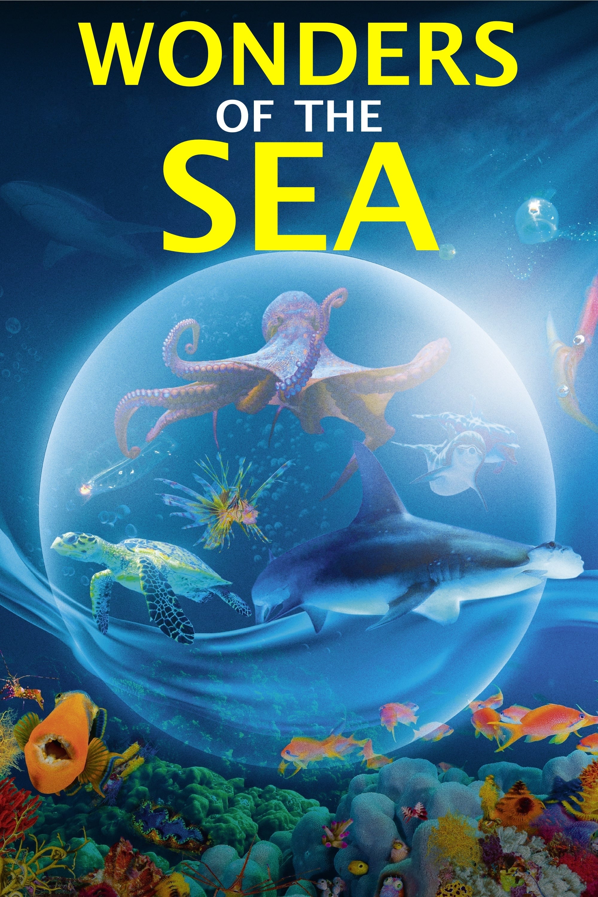 Постер Wonders of the Sea 3D